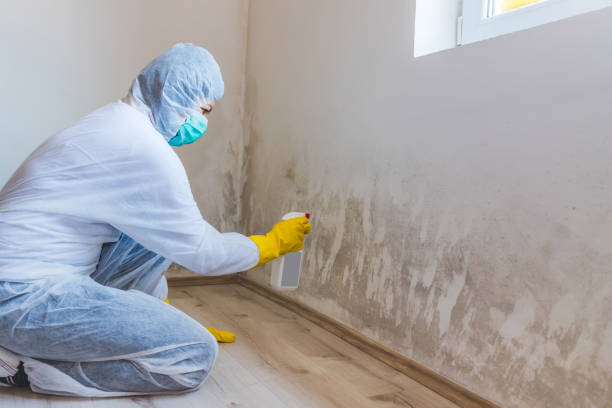 Licensed Mold Remediation service in Hopewell, NJ - 24 Hour Mold Removal
