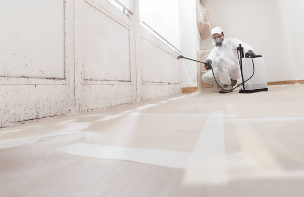 24/7 Emergency Mold Remediation experts in Hopewell, NJ