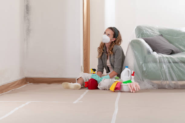 Reliable Mold Remediation contractor in Hopewell, NJ by 24 Hour Mold Removal